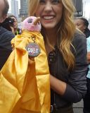 Filename=nycc18k_29.jpg
Filesize=154KiB
Dimensions=671x1199
Date added=Oct 07, 2018 nycc18k_29.jpg