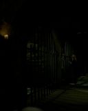 Filename=204_03751.jpg
Filesize=39KiB
Dimensions=1280x720
Date added=Feb 01, 2017 204_03751.jpg