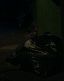 Filename=204_17096.jpg
Filesize=40KiB
Dimensions=1280x720
Date added=Feb 01, 2017 204_17096.jpg