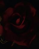 Filename=CtI07UNWYAEFSDW.jpg
Filesize=51KiB
Dimensions=960x1200
Date added=Sep 25, 2016 CtI07UNWYAEFSDW.jpg