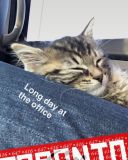 Filename=CtfJwJAUAAEFz1z.jpg
Filesize=146KiB
Dimensions=675x1200
Date added=Sep 30, 2016 CtfJwJAUAAEFz1z.jpg