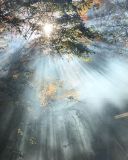 Filename=CuxY1-pVIAAXgLO.jpg
Filesize=131KiB
Dimensions=750x743
Date added=Oct 16, 2016 CuxY1-pVIAAXgLO.jpg