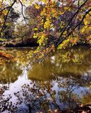 Filename=DOr8-XuVwAYDr3t.jpg
Filesize=534KiB
Dimensions=1200x900
Date added=Nov 19, 2017 DOr8-XuVwAYDr3t.jpg
