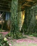 Filename=Garden1.jpg
Filesize=2089KiB
Dimensions=3264x2448
Date added=Apr 13, 2017 Garden1.jpg