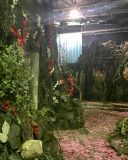 Filename=Garden2.jpg
Filesize=1810KiB
Dimensions=3264x2448
Date added=Apr 13, 2017 Garden2.jpg