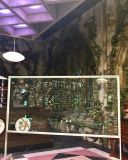 Filename=IMG_3344.jpg
Filesize=1576KiB
Dimensions=3264x2448
Date added=Apr 13, 2017 IMG_3344.jpg
