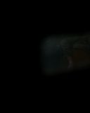 Filename=SH205_5059.jpg
Filesize=42KiB
Dimensions=1920x1080
Date added=Feb 05, 2017 SH205_5059.jpg